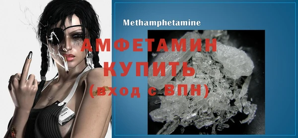 сатива Богданович
