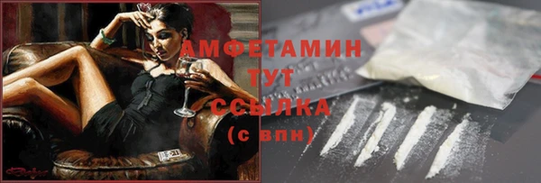 сатива Богданович