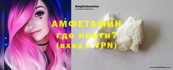 индика Богородицк