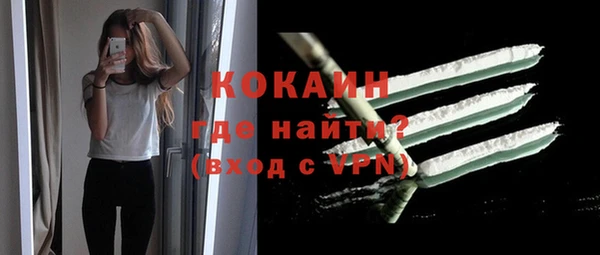 индика Богородицк