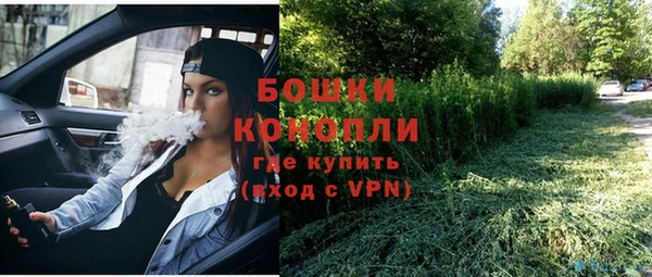 дурь Богородск