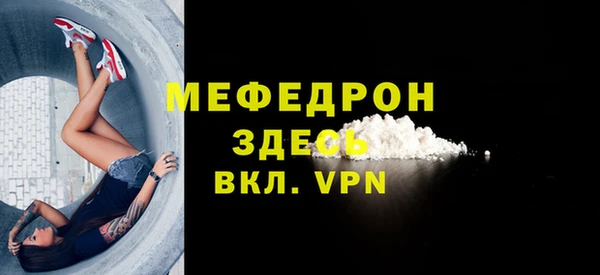 индика Богородицк