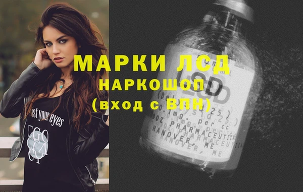 индика Богородицк