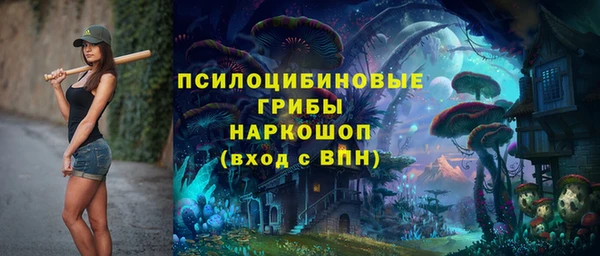 дурь Богородск