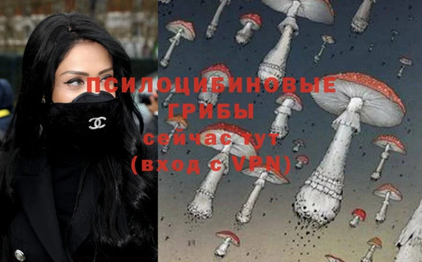 индика Богородицк
