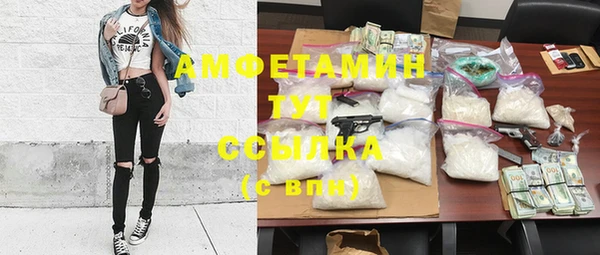 сатива Богданович