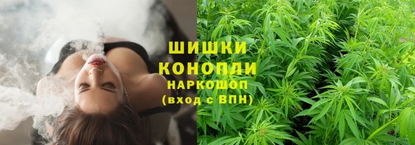 сатива Богданович