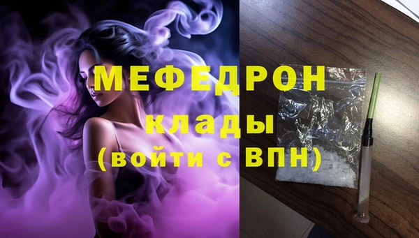 индика Богородицк