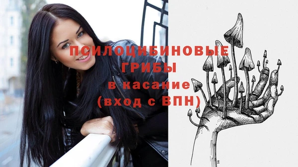 сатива Богданович