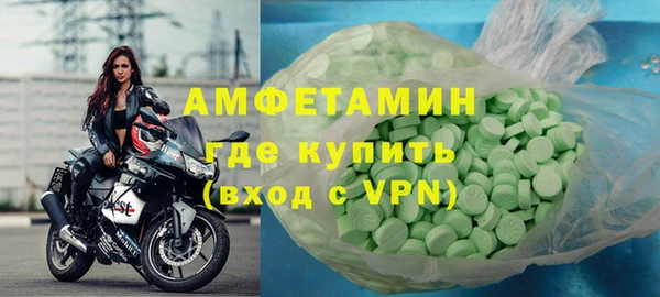 индика Богородицк
