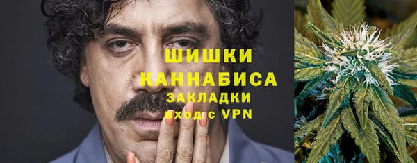 индика Богородицк