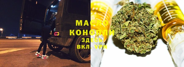 индика Богородицк