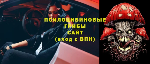 индика Богородицк