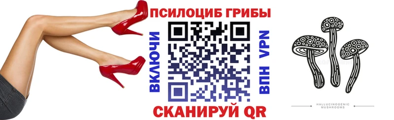 Псилоцибиновые грибы Psilocybe ссылка на мегу сайт Ижевск